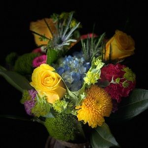 Meet your Posher, Lanita